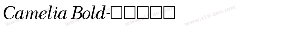 Camelia Bold字体转换